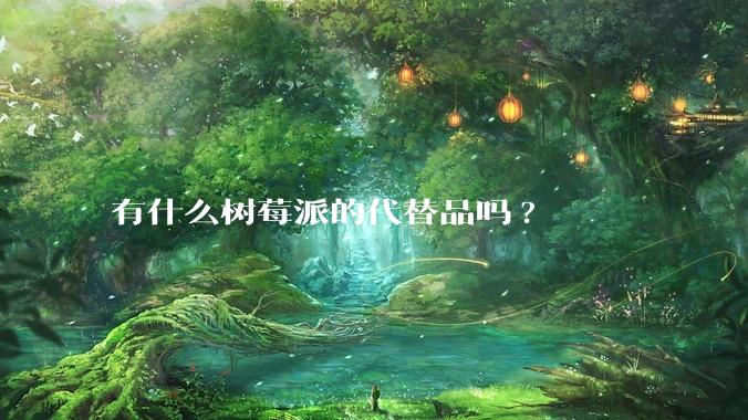 有什么树莓派的代替品吗?